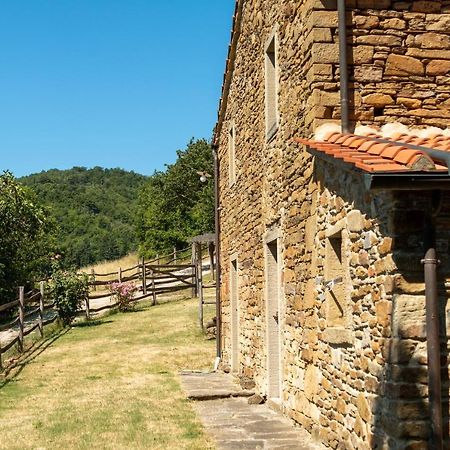 Agriturismo Con Piscina In Toscana, Tribbiano Arezzo Exterior foto