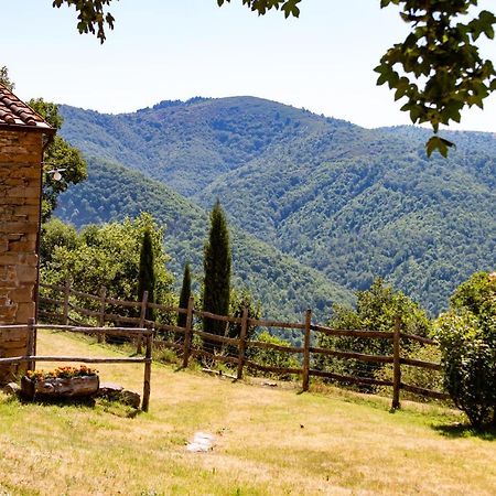 Agriturismo Con Piscina In Toscana, Tribbiano Arezzo Exterior foto