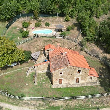Agriturismo Con Piscina In Toscana, Tribbiano Arezzo Exterior foto