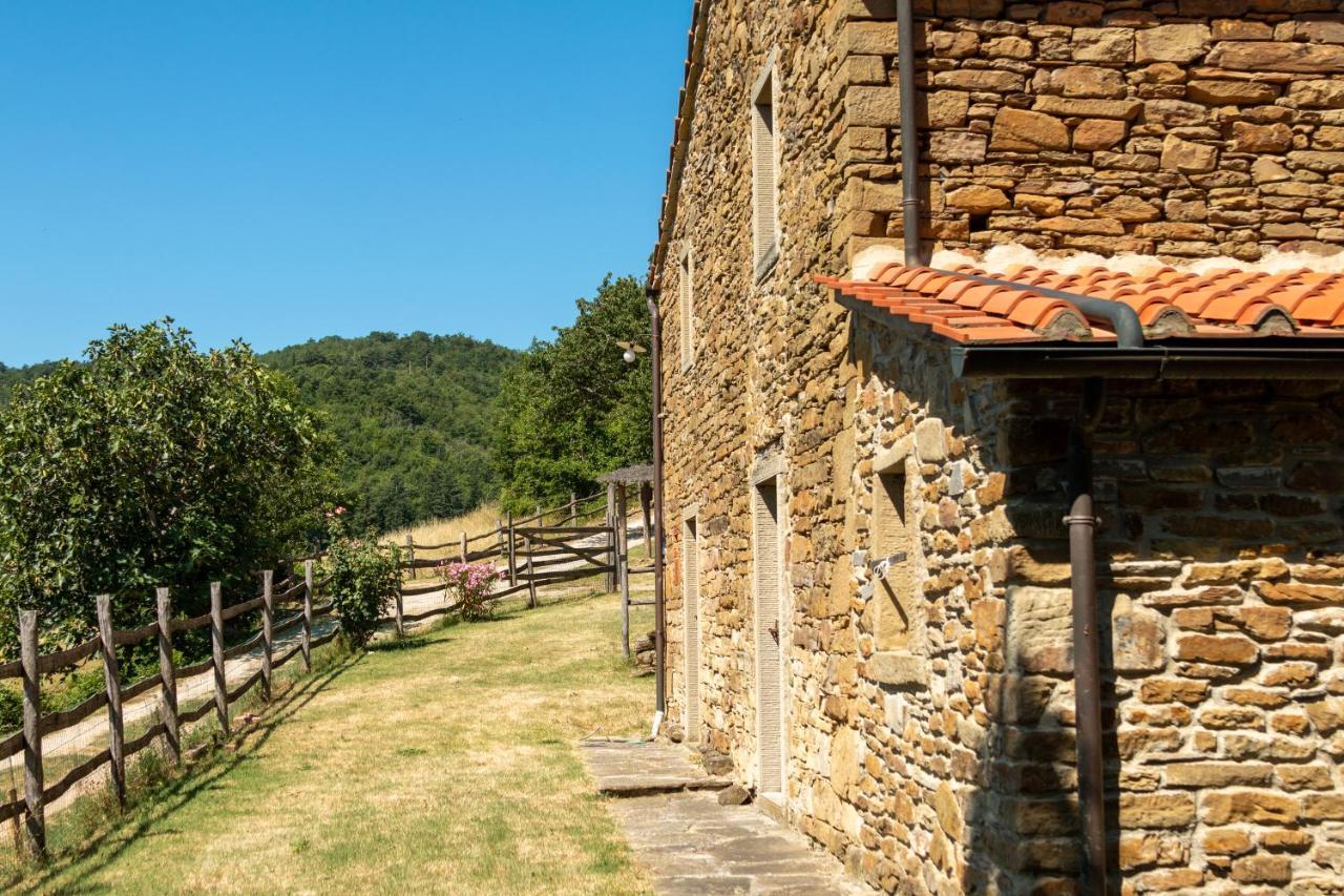 Agriturismo Con Piscina In Toscana, Tribbiano Arezzo Exterior foto