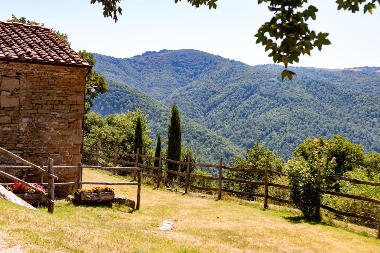 Agriturismo Con Piscina In Toscana, Tribbiano Arezzo Exterior foto