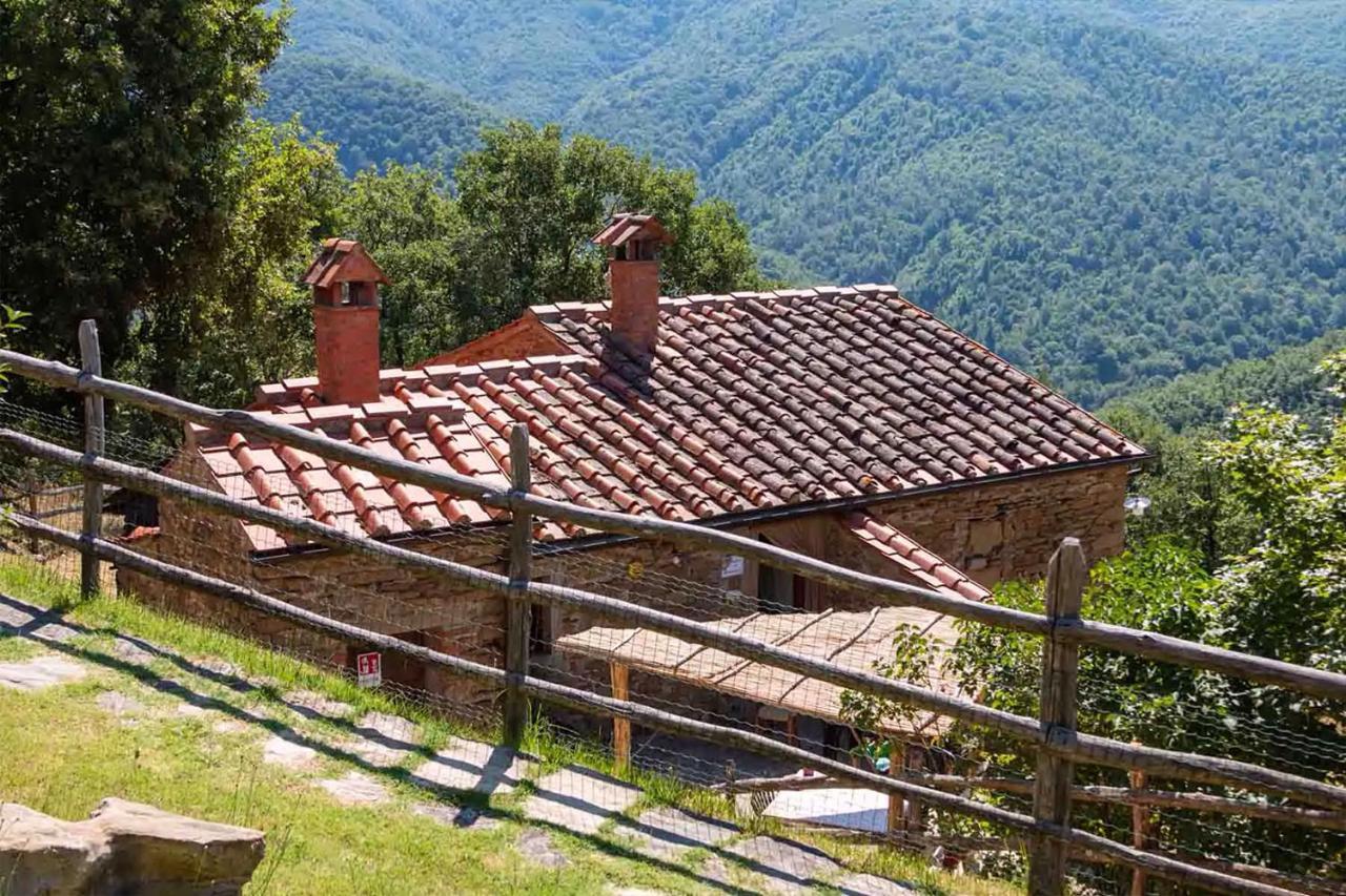 Agriturismo Con Piscina In Toscana, Tribbiano Arezzo Exterior foto