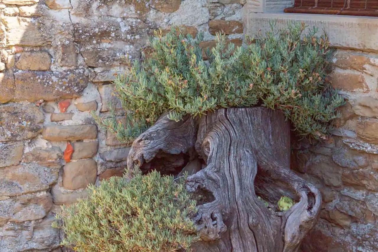 Agriturismo Con Piscina In Toscana, Tribbiano Arezzo Exterior foto