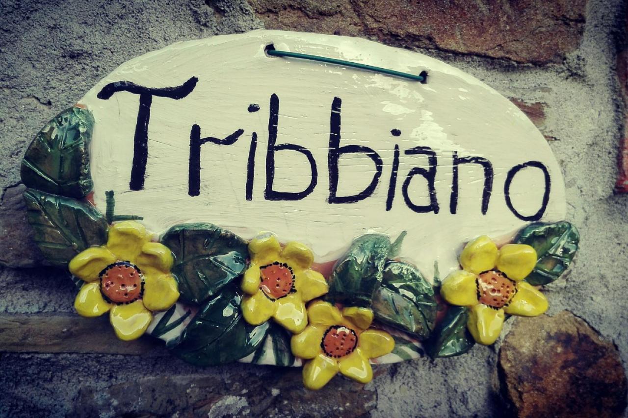 Agriturismo Con Piscina In Toscana, Tribbiano Arezzo Exterior foto